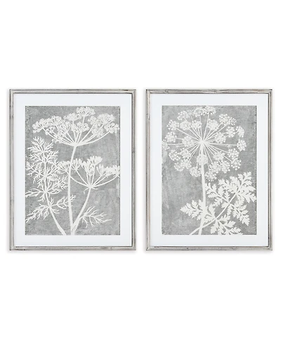 Blooming Queen Anne's Lace Prints, Set Of 2