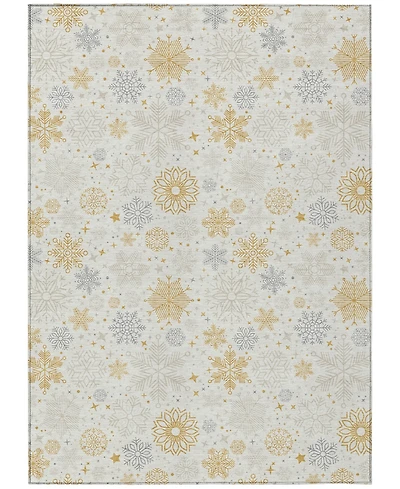 Addison Holiday Washable Indoor/Outdoor ACN1823 10'x14' Area Rug