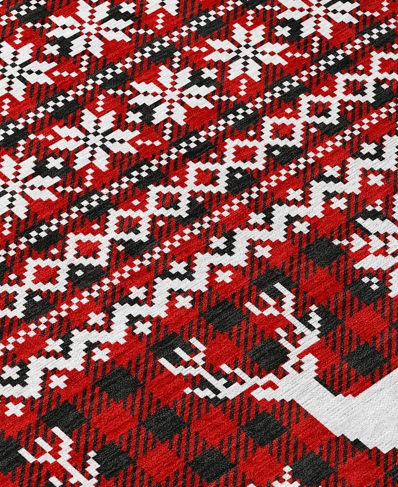 Addison Holiday Washable Indoor/Outdoor ACN1820 2'3"x7'6" Runner Area Rug