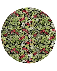 Addison Holiday Washable Indoor/Outdoor ACN1816 8'x8' Round Area Rug