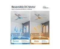 52-inch Modern Sliver 3 Solid Wood Blade Ceiling Fan with 6-speed Remote Control and Forward Reverse Rotation Function for Indoor