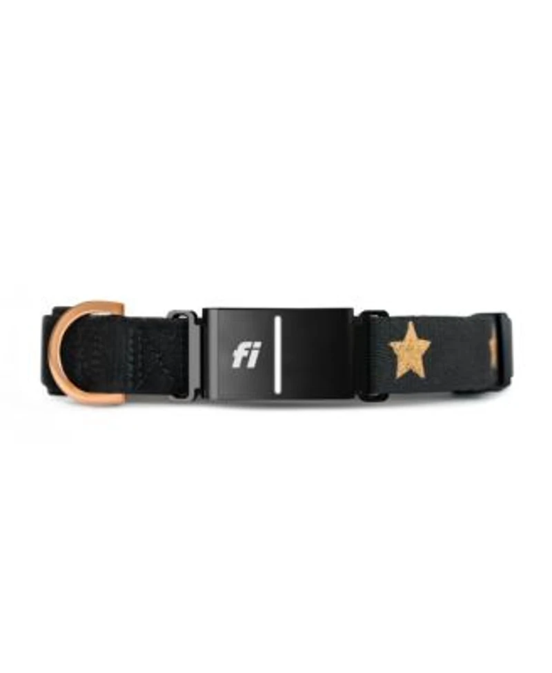 The Dogistry x Fi Rockstar Collar