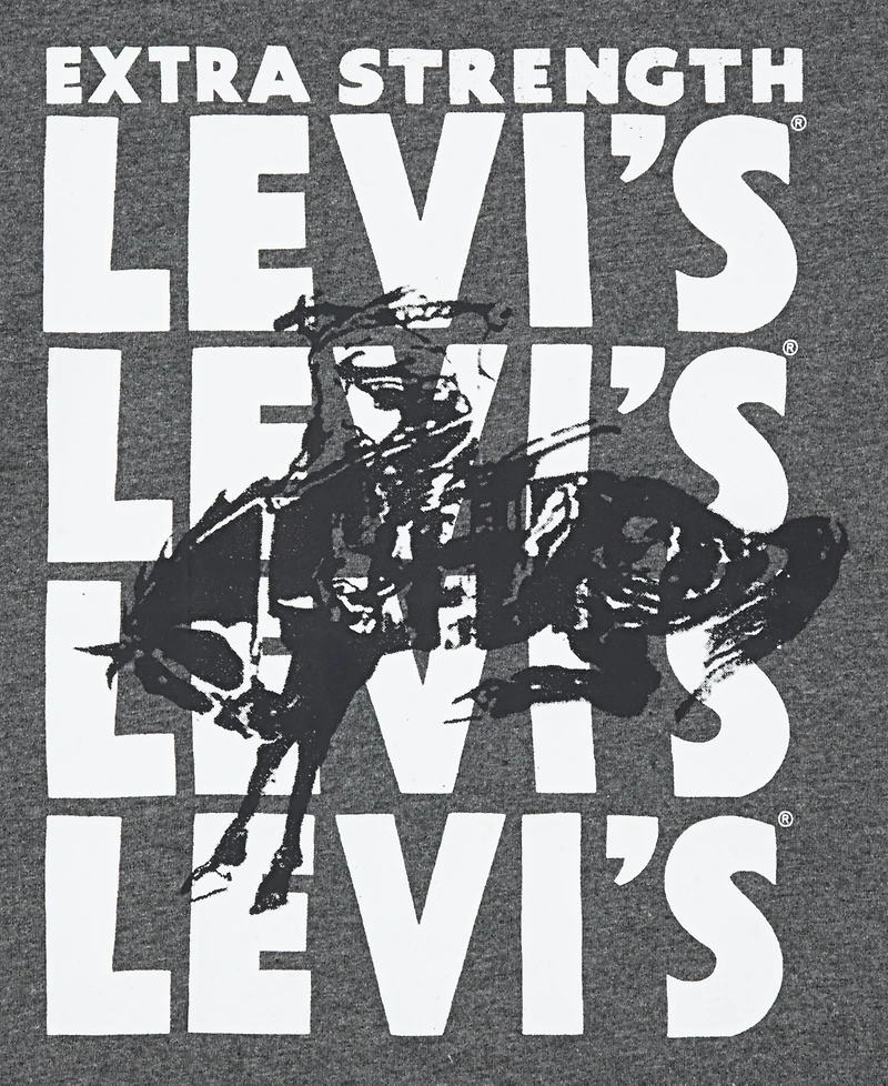 Levi's Boys 8-20 Graphic Printed Long-Sleeve T-Shirt