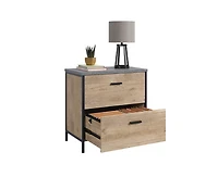 Storage File Cabinet with 2 Drawers