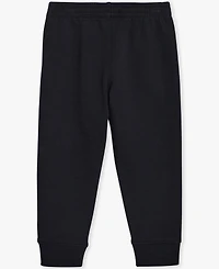 Champion Boys Toddler 2T-4T Colorblock Hoodie and Pants, 2-Piece Set