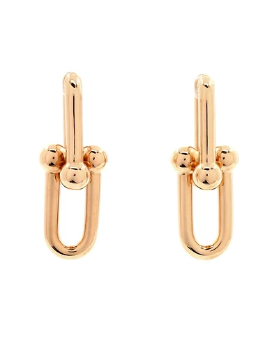 Pre-Owned Tiffany & Co Hardwear Link Earrings