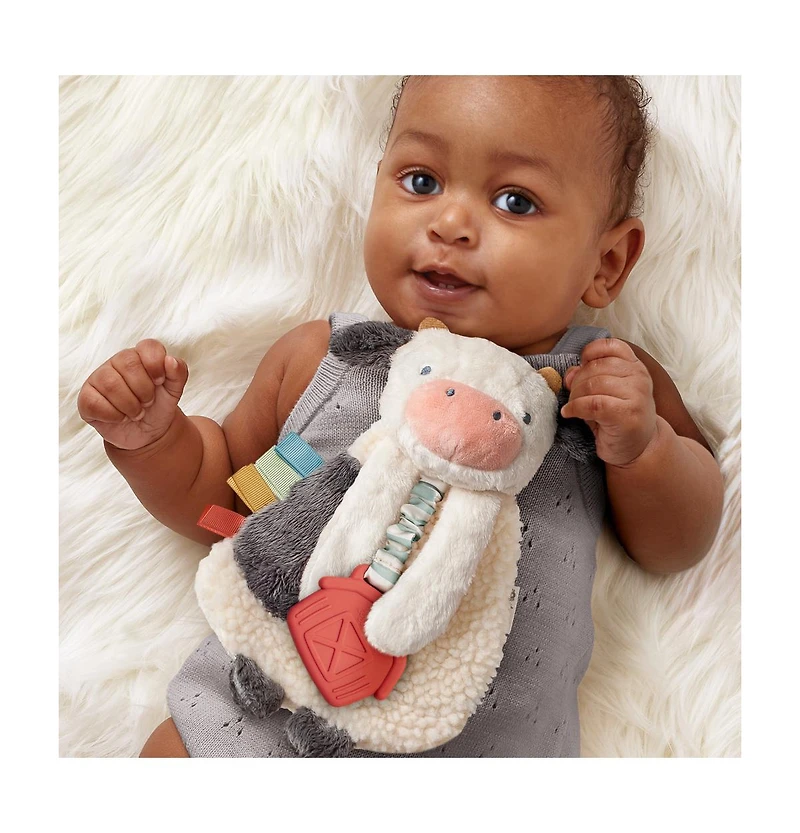 Itzy Ritzy Baby Barnyard Bundle Teething & Feeding