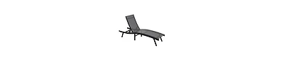 Aecojoy Outdoor Chaise Lounge, All Weather Pool Lounge Chairs Ergonomic Design