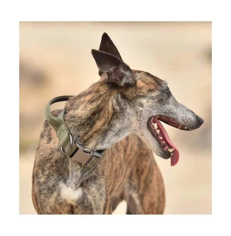 Petmarvel Adjustable Tactical Dog Collar with Control Handle