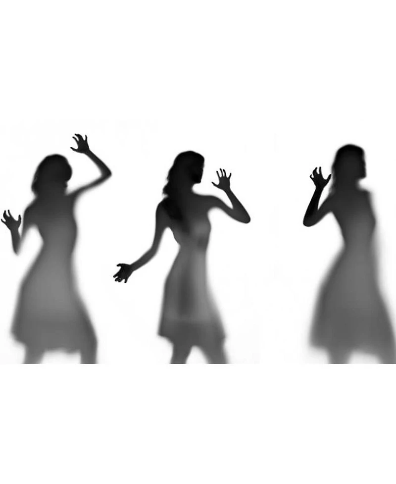 Savage 60"x18' Translum Translucent Vinyl Backdrop, 2-Pack, Bundle with 4x 1-1/4x1" Steel Spring Orange Clamp