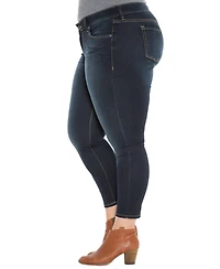 Slink Jeans Women's Denim High Rise Ankle Skinny 27" inseam - Summer