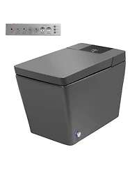 Casainc Smart One-Piece Bathroom Fixture With Heated Seat, Auto Flush, Wash, Dryer And Digital Display