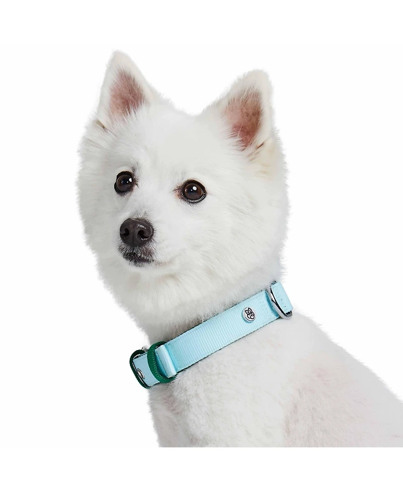 Blueberry Pet Color-Block with Metal Buckle Dog Collar Sky Blue and Dark Green Neck 13"-16.5" Medium