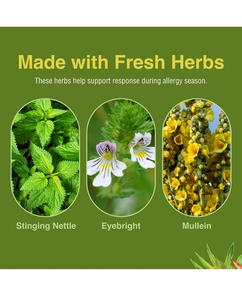 Trace Minerals Allertonic 60 Ct Softgels