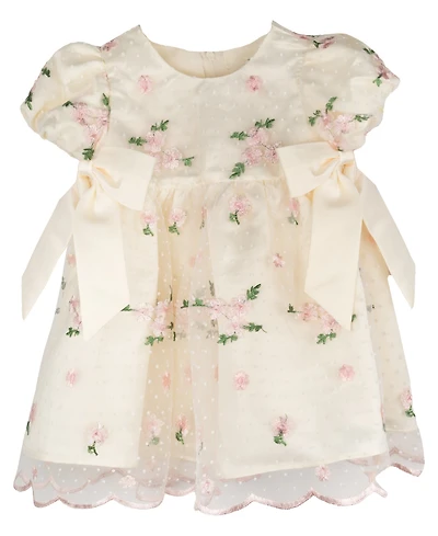 Rare Editions Baby Girls' Embroidered Mesh Social Dress