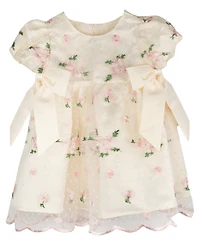 Rare Editions Baby Girls' Embroidered Mesh Social Dress