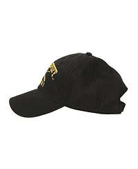 Harry Potter Men's Hufflepuff Alumni Adult Unstructured Baseball Cap