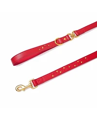 Blueberry Pet Silver-Powered Freshness Microfiber Suede Dog Collar – Embossed Classic Pattern with Bronze Studs