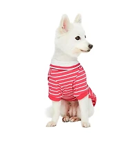 Dogs & Cats Co. Striped Henley Dog Tee with Chest Pocket Red and White 10"