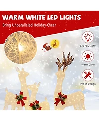 Costway 3 Pcs Pre-lit Christmas Reindeer Family 3D Lighted Glitter Deer Xmas Decoration