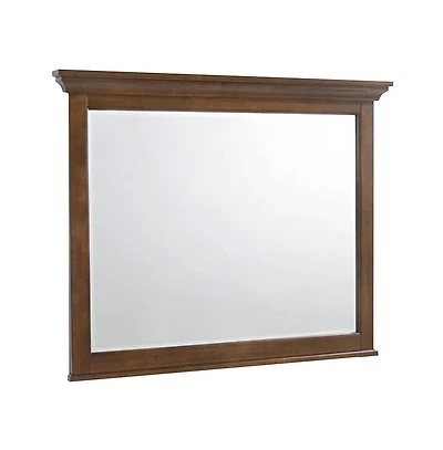 Intercon Mirror