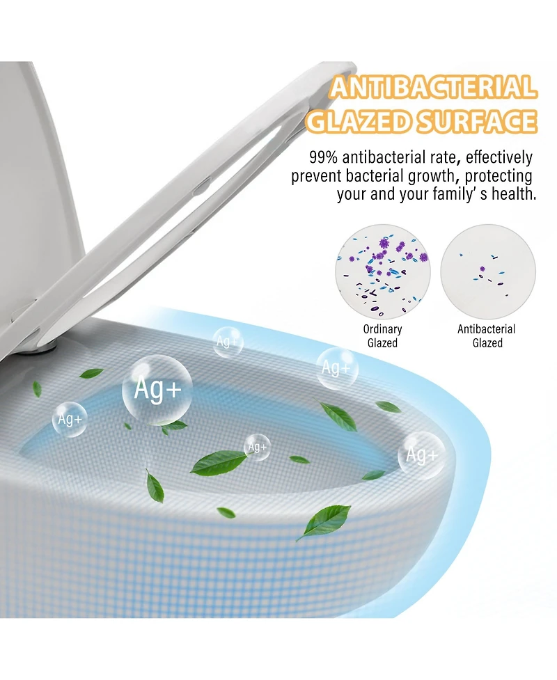 Casainc One-Piece Dual Flush 1.1/1.6 Gpf Elongated Bathroom Fixture Comfort Seat Height,Soft-Close Seat,Glazed Surface