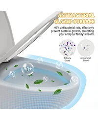 Casainc One-Piece Dual Flush 1.1/1.6 Gpf Elongated Bathroom Fixture Comfort Seat Height,Soft-Close Seat,Glazed Surface