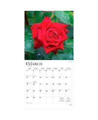 Roses | 2026 12 x 24 Inch (Hanging) Monthly Square Wall Calendar | Plastic-Free