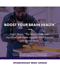 Host Defense MycoBotanicals Brain Capsules, 120 ct (Pack of Two 60 ct Units)