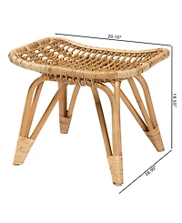 Furniture Earvin 18.9" Rattan Bohemian Footstool