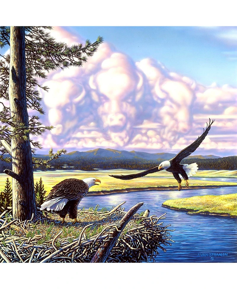 SunsOut Return to the Plains 500 piece Jigsaw Puzzle for Adults