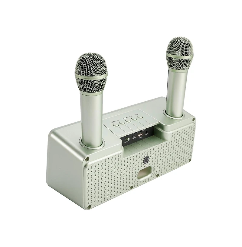 Artudatech Portable Karaoke Speaker System with 2 Wireless Mics, 20W HiFi Sound, Bluetooth & Aux for Parties and Camping