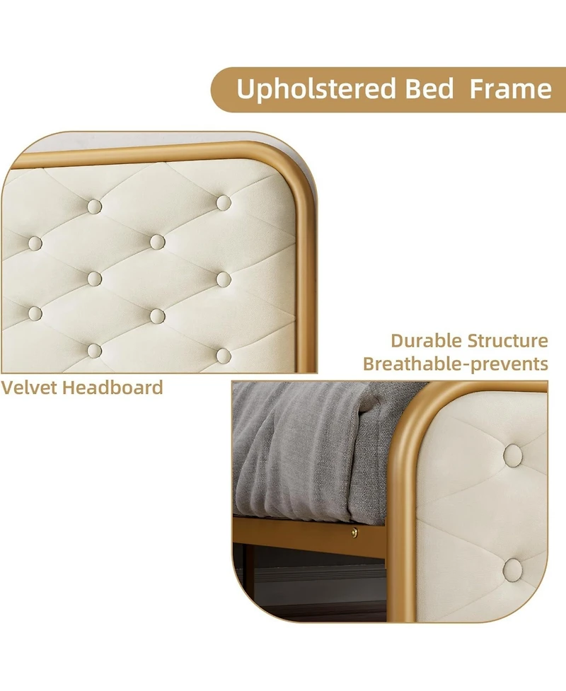 gaomon Velvet Upholstered Platform Bed Frame with Curved Button-Tufted Headboard, Golden Base and Sturdy Wood Slat Support