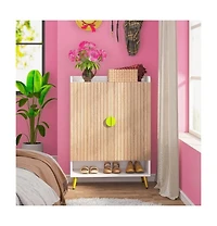 Slickblue Shoe Organizer Cabinet with Doors and Shelf