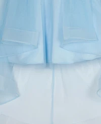 Rare Editions Girls' 7-16 Embroidered Mesh Illusion Bodice High-Low Dress