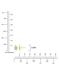 Macy's Micropave 14k Yellow Gold Turtle Stud Earrings