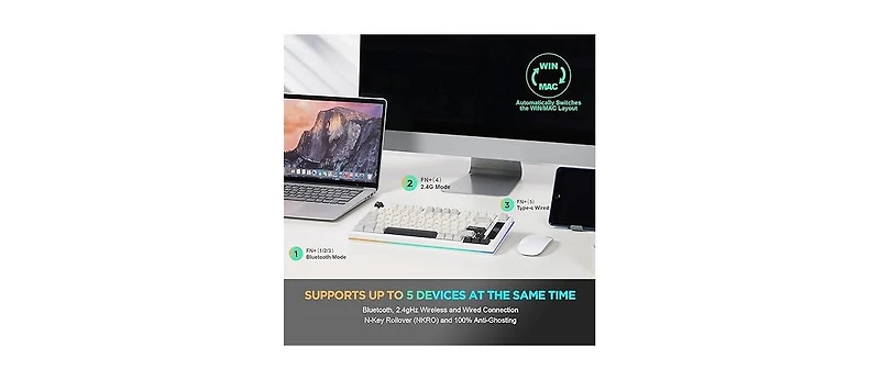 Lofree YZ75 75% Gasket Mechanical Keyboard, Compact Wireless Hot Swappable Bluetooth Gaming Keyboard w/ 4-Layer Padding, BT5.0/2.4Ghz/Type-c Nkro Rgb