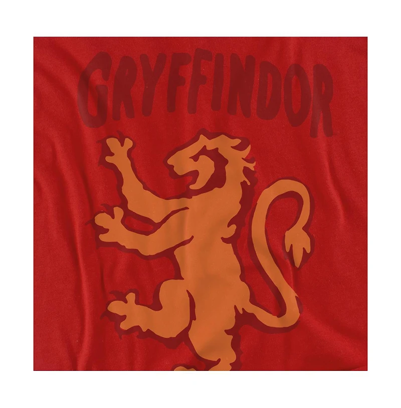 Harry Potter Men's The Gryffindor T Shirt