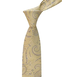 Tommy Hilfiger Men's Hawkins Paisley Pattern Tie
