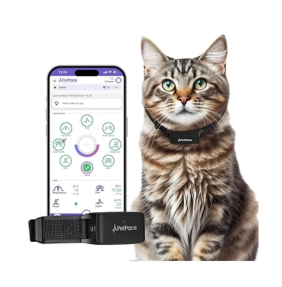 Petpace, Dogs Health Monitoring Collar, Cats