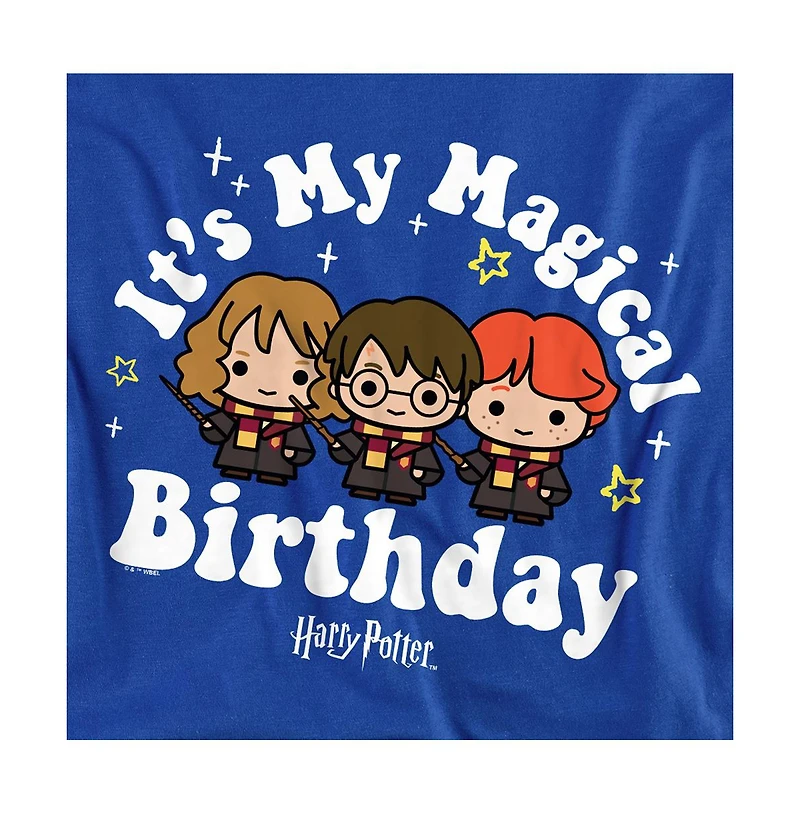 Harry Potter Men's Magical Birthday T Shirt