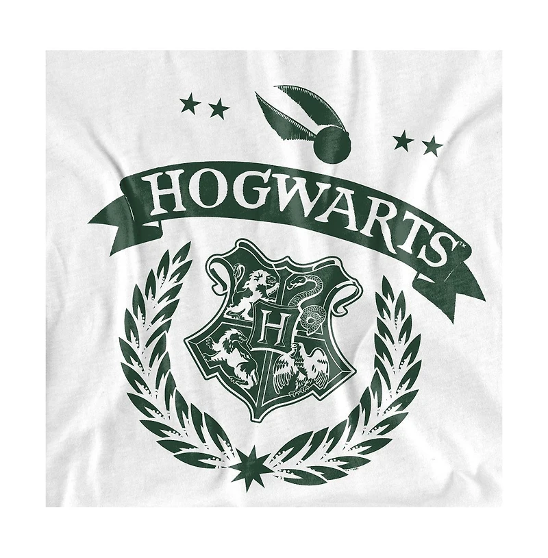 Harry Potter Men's Quidditch School Test T Shirt