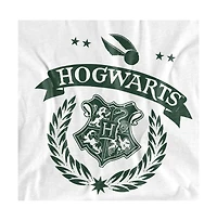 Harry Potter Men's Quidditch School Test T Shirt