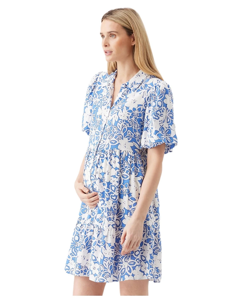 Ripe Maternity Nahla Linen Dress