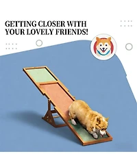 Aostirmotor Wooden Dog Agility Seesaw for Outdoor in Brown
