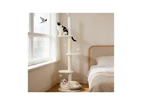 Zeus & Ruta Floor to Ceiling Cat Tree