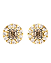 Le Vian Chocolate Diamond (1/4 ct. t.w.) & Nude Diamond (1/4 ct. t.w.) Earrings in 14k Honey Gold