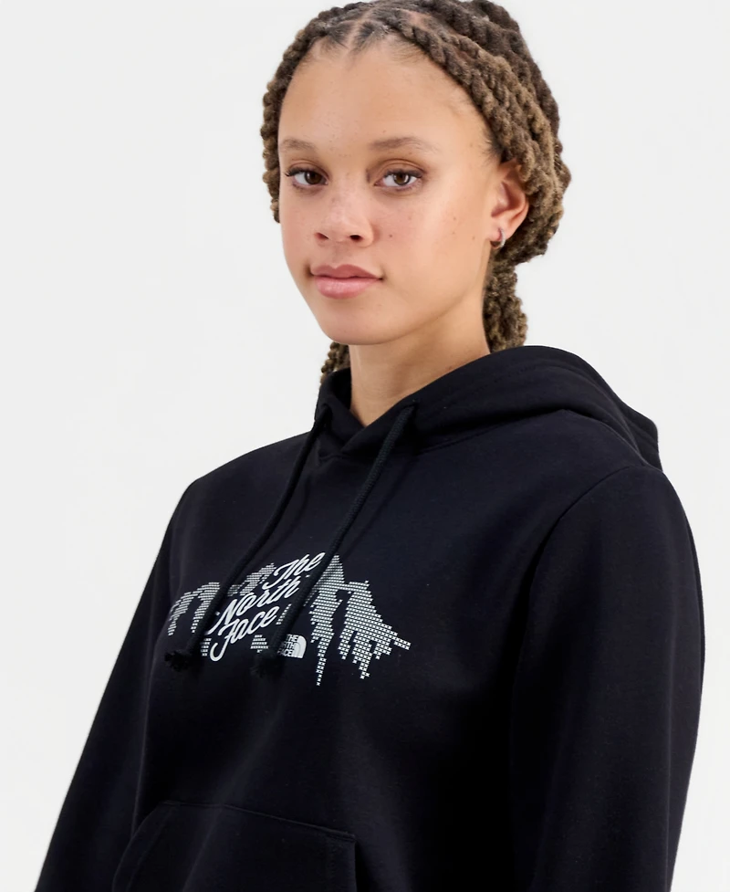 The North Face Women's Evolution Sparkle Cotton Hoodie