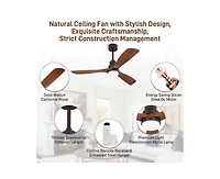 Sofucor 52-inch Modern Brown 3-Blade Ceiling Fan with Remote Control and Light Kit