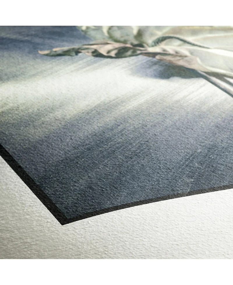 Hahnemuhle Matte German Etching, 100% Tcf Pulp, Natural White Inkjet Paper, 19.6 mil., 310 g/mA, 11x17", 25 Sheets